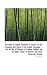 Text-book of English Grammar: A Treatise on the Etymology and Syntax of the English Language ... : f