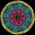 Consciousness