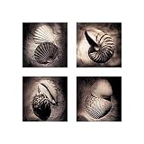 Nauticaa photographic art print 40x40cm by Laurel Wade
