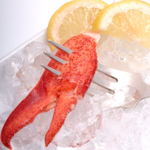 Maine Lobster Meat Maine Lobster Meat