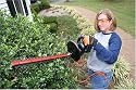Remington 41AF326G983 18-Inch Dual Action Bar 3.2-Amp Motor 3/4-Inch Cut Electric Hedge Trimmer