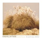 Grassland Breeze by Kwang-Gin Park. PLAQUE MOUNTED. 39.68 inches width by 36.17 inches height. Highest Quality Art Poster Print