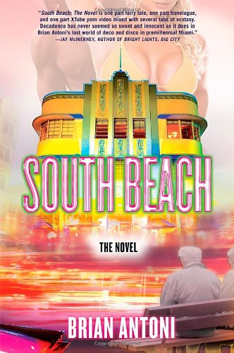 south beach the novel