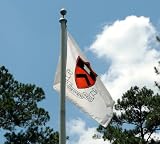 3 x 5 ft Princeton University Nylon Flag by Annin and Co.