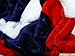 79x94 Puerto Rico Flag San Juan Caribbean Soft Faux Mink Plush Queen Blanket