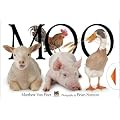 Moo!
