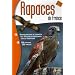 Rapaces de France