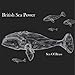 British Sea Power, SEA OF BRASS, 発売中