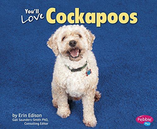 You'll Love Cockapoos (Favorite Designer Dogs)