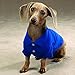 Zack & Zoey Cotton Polo Shirt for Dogs, 8
