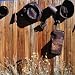 Rusted Pots and Pans from the Cerro Gordo Mine, Inyo National Forest, California, USA Photographic Poster Print by Wes Walker, 16x16