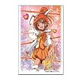 きゃらスリーブコレクション スマイルプリキュア! キュアサニー (No.088)
