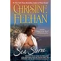 Sea Storm