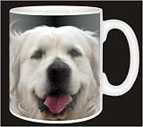 Review Advanta  / GOLDEN RETRIEVER-White Coffee Mug
