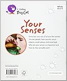 Your senses
