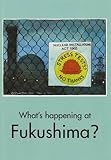 What's happening at Fukushima?