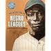 Heroes of the Negro Leagues (with free DVD: Only the Ball Was White)