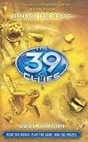 The 39 Clues Book 4: Beyond the Grave - Library Edition