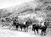 The Wells Fargo Treasure Wagon,' Deadwood, Dakota Terr., 1890 - Historic 16