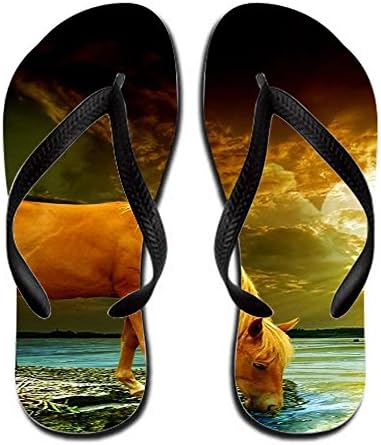 Animal Horse Footwear Men Rubber 9 B(m) Us Rosaliwalt Sandals