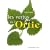Les vertus de l'Ortie