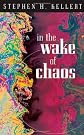 In the Wake of Chaos: Unpredictable Order in Dynamical Systems (Science and Its Conceptual Foundations series)