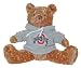 Ohio State Buckeyes NCAA Hoodie Bears