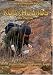 RockHounds: The Movie