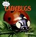 Book Ladybugs (Under the Microscope: Backyard Bugs)