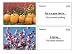 Seasons Flashcards