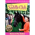 The Saddle Club, Vol. 2: Storm at Pine Hollow