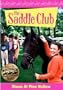 The Saddle Club, Vol. 2: Storm at Pine Hollow