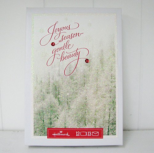 Hallmark Christmas PX5496 Joyous Season…Gentle Beauty Boxed Cards
