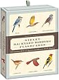 Sibley Backyard Birding Flashcards: 100 Common Birds of Eastern and Western North America