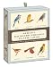 Sibley Backyard Birding Flashcards: 100 Common Birds of Eastern and Western North America