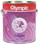 Gunzite Epoxy Primer for Swimming Pools - Gallon