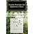 Tsume Puzzles for Japanese Chess: Introduction to Shogi Mating Riddles