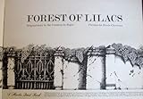 Forest of lilacs