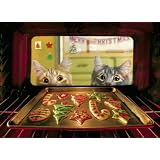 Avanti Christmas Cards, Cats and Cookies, 10-Count