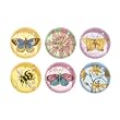 Fringe Studio Set of 6 Decorative Glass Round Magnets, Meadow