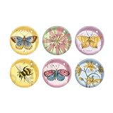 Fringe Studio Set of 6 Decorative Glass Round Magnets, Meadow