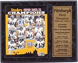 Pittsburgh Steelers 2005 World Champion Limited Edition 12 x 15 Statistics Plaque