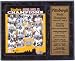 Pittsburgh Steelers 2005 World Champion Limited Edition 12 x 15 Statistics Plaque