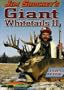 Giant Whitetails II - DVD