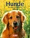 Image of Hunde. Rassen - Ausbildung - Haltung.