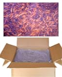 New Unipeck Of America Bulk Dried Mealworms Avg. Count 176,000 100% Perservative & Additive Free