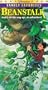 Beanstalk [VHS]
