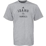 adidas - adidas Idaho Vandals Ash Practice T-shirt