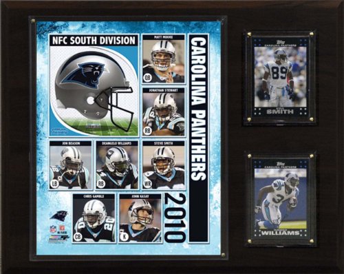 NFL Carolina Panthers 2010 Team Plaque