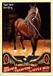 2011 Upper Deck Goodwin Champions Trading Card # 97 Super Saver - Horse Racing In a protective screwdown case!